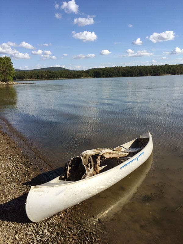 Driftwood in a canoe