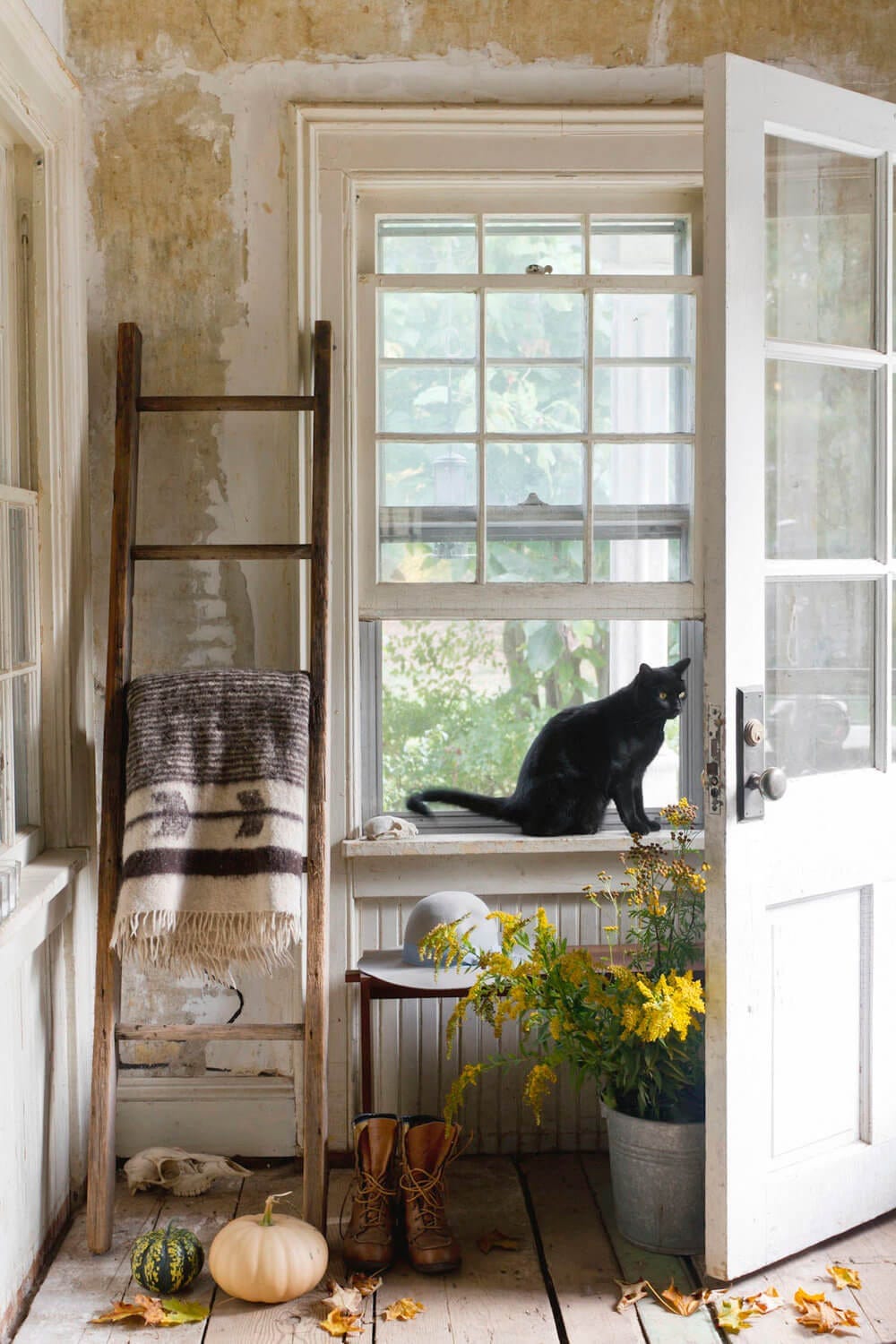 A cat and cozy fall entryway shot by Rikki Snyder